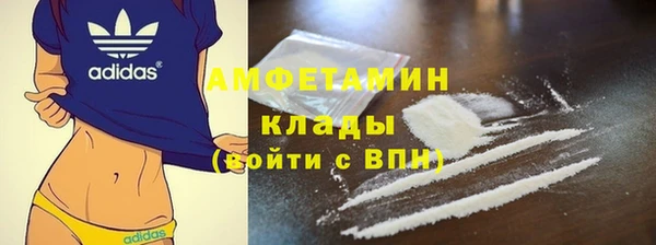 ECSTASY Бородино