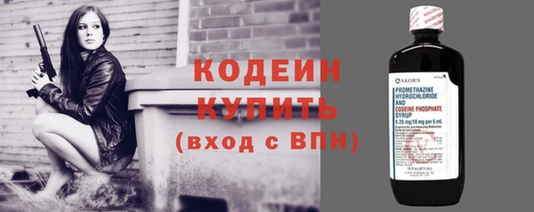 молекула духа Богданович