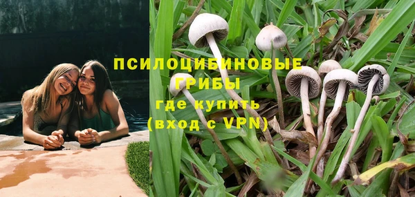 ECSTASY Бородино