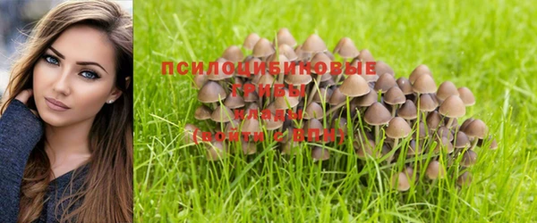 крисы Богородицк