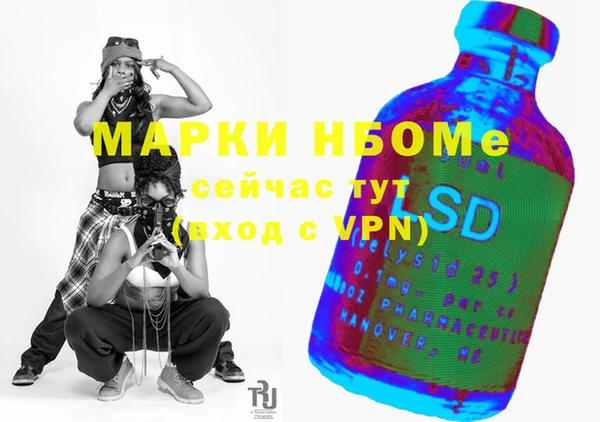 ECSTASY Бородино