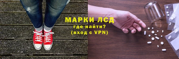 ECSTASY Бородино