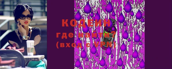 ECSTASY Бородино
