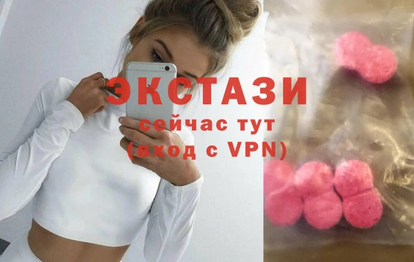 ECSTASY Бородино